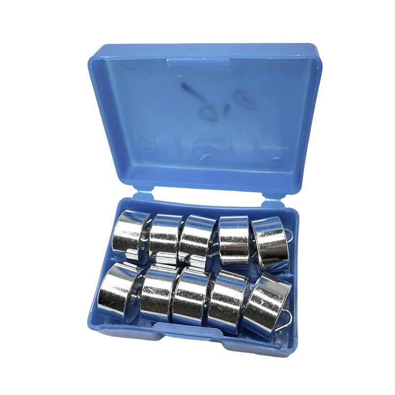 Set berat kait pendidikan 50gx10PCS/kit eksperimen sains instrumen makmal fizik sekolah dan kit pengajaran